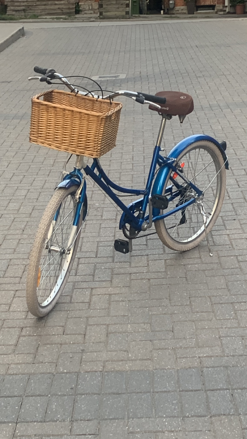 Stylish Luxury Comfort bike with basket image indicator(3)