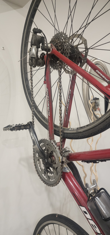 Davinci Bike image indicator(2)