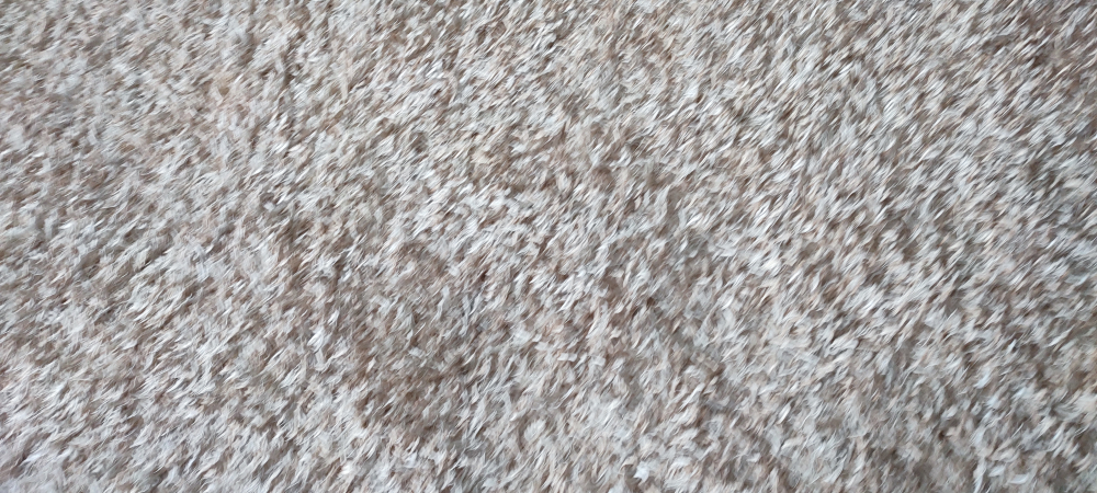 shag carpet - photo 2