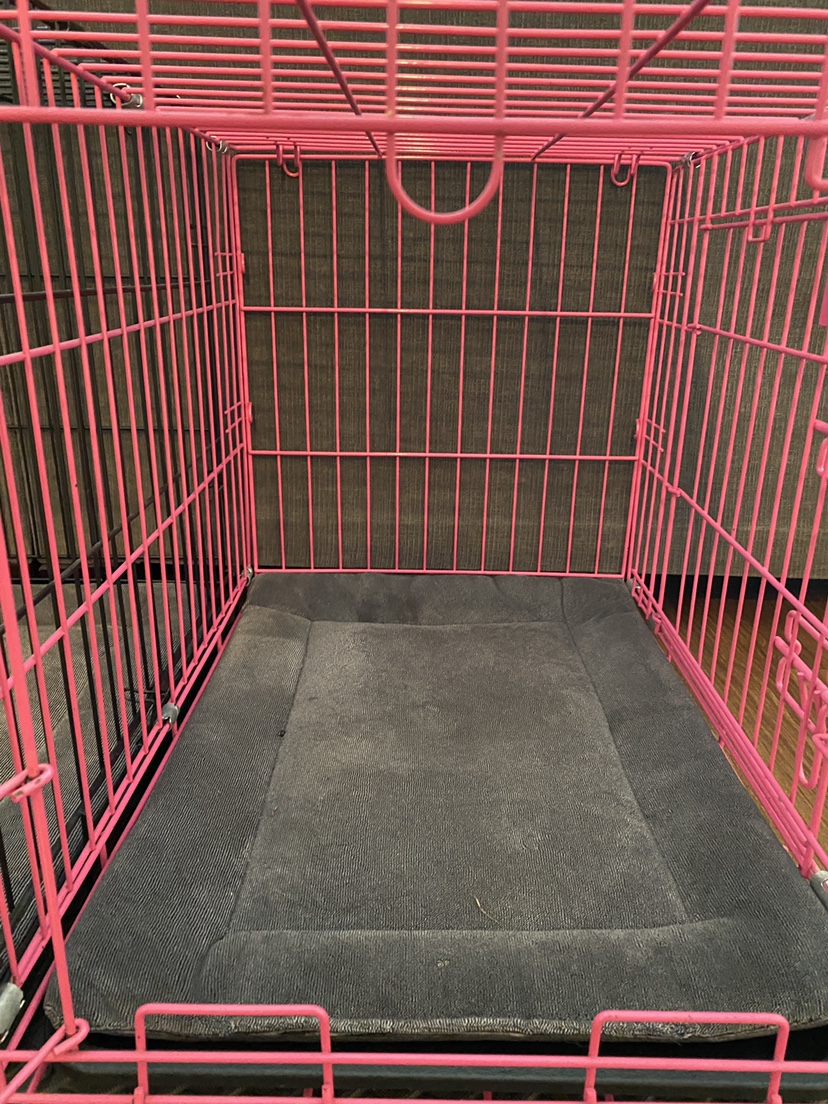 Dog crates - photo 4