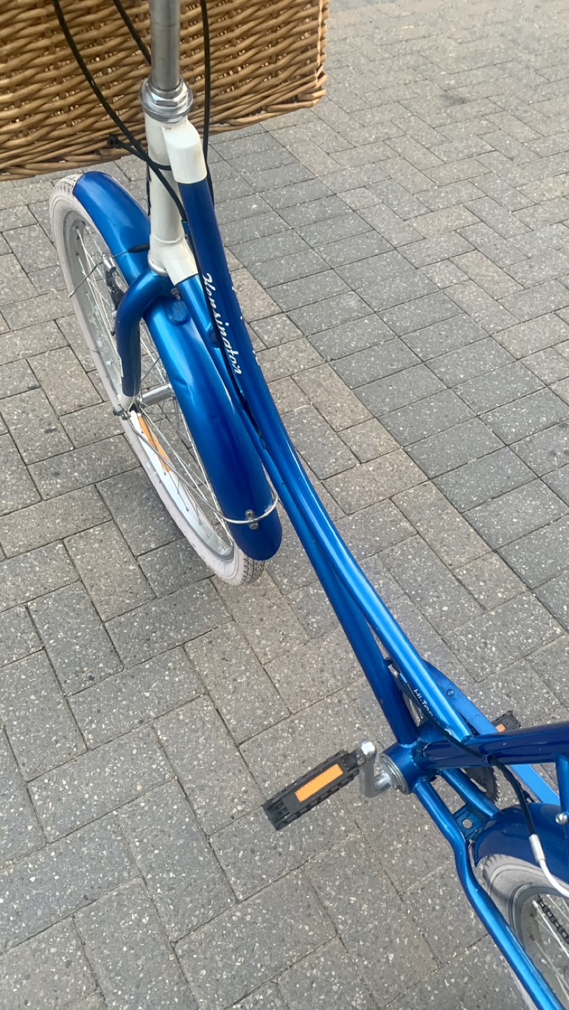 Stylish Luxury Comfort bike with basket image indicator(7)