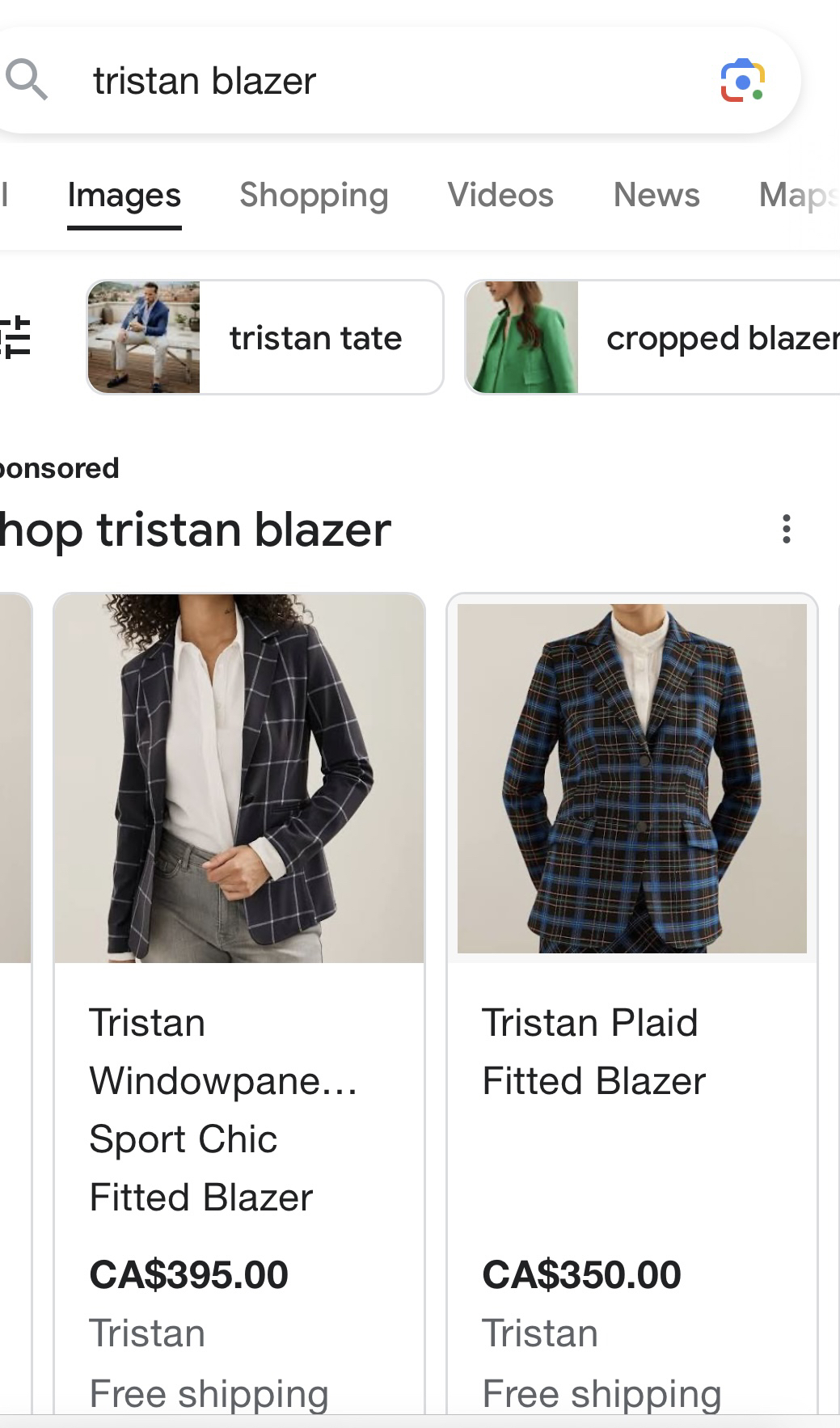 Tristan light gray plaid fitted blazer, super chic! M🥰 image indicator(3)
