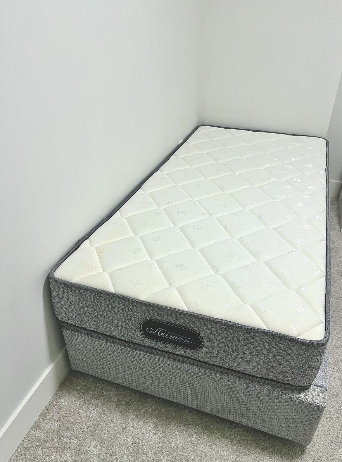 Twin Mattress + Frame