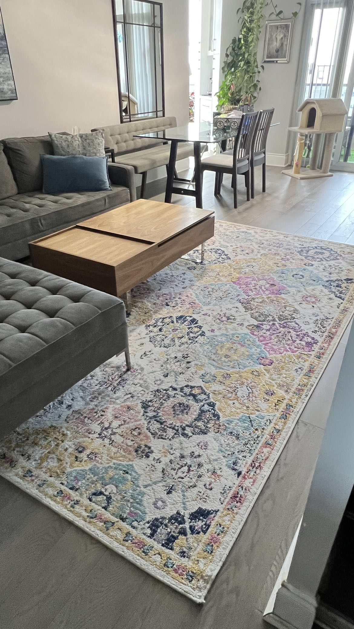 Carpet & Coffee Table Combo thumbnail