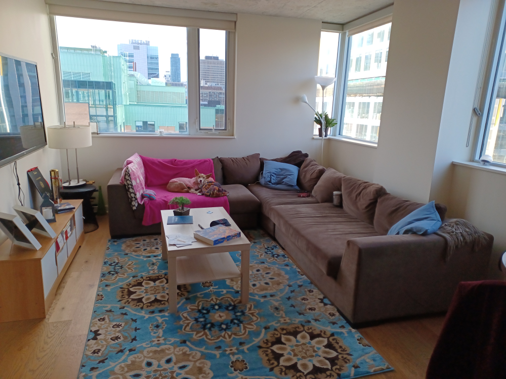 MOVING SALE - EVERYTHING HAS TO GO BY END OF SEPTEMBER - photo 2