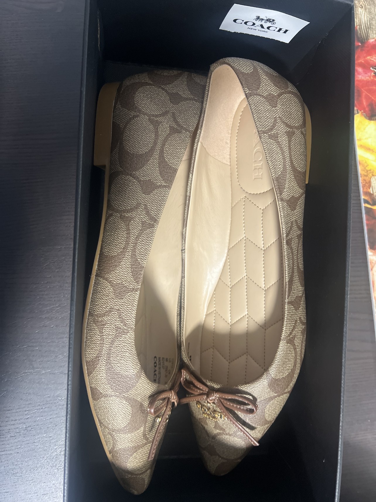 Coach Annabel Sig Ballet women shoes