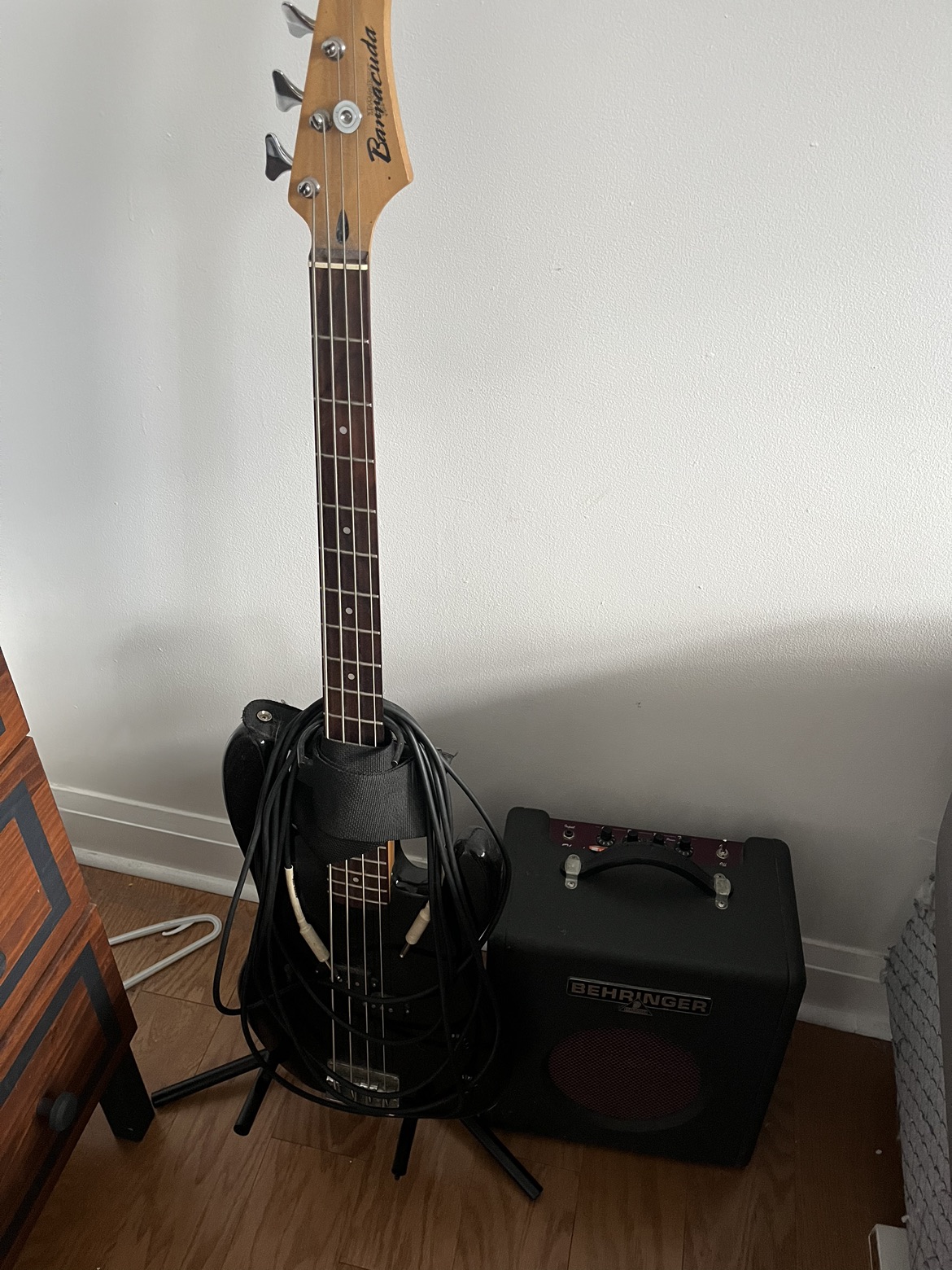 Bass and amp