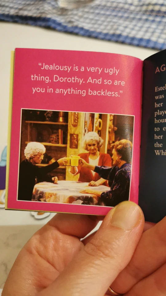 Golden Girls Magnet Set 🌴 image indicator(2)
