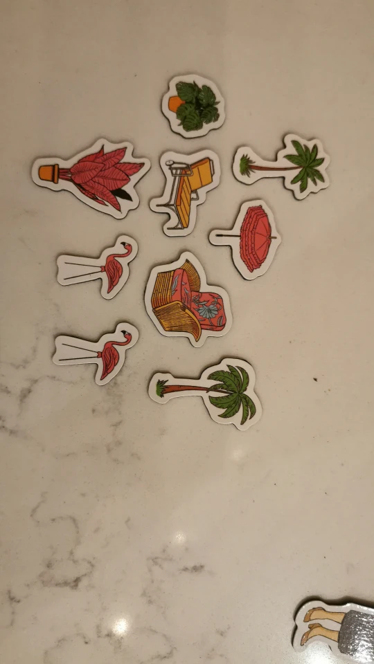 Golden Girls Magnet Set 🌴 image indicator(7)