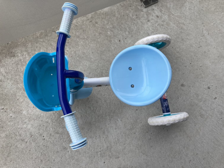 Frozen Tricycle - photo 3