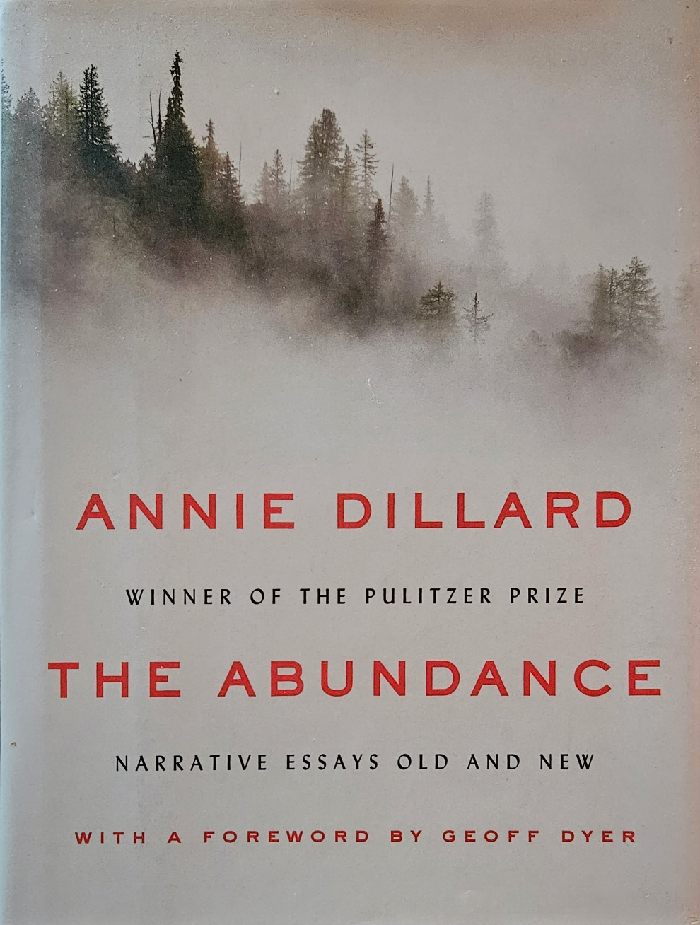 Book The Abundance thumbnail