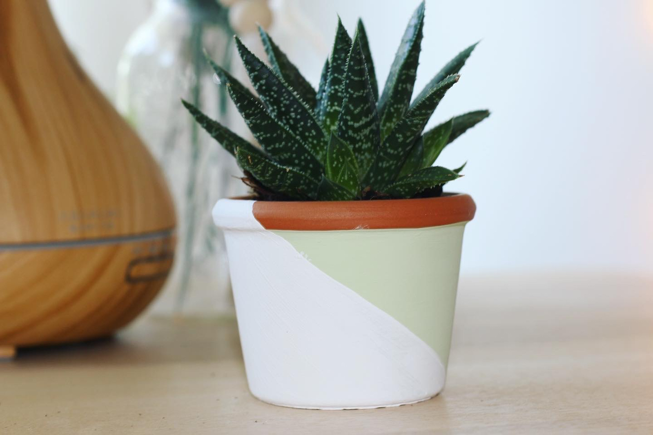 Assorted Hand-Painted Boho Planters - photo 2