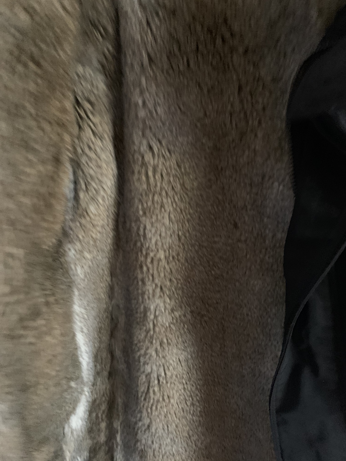 Aritzia babaton Oskar Coat xxs - photo 4