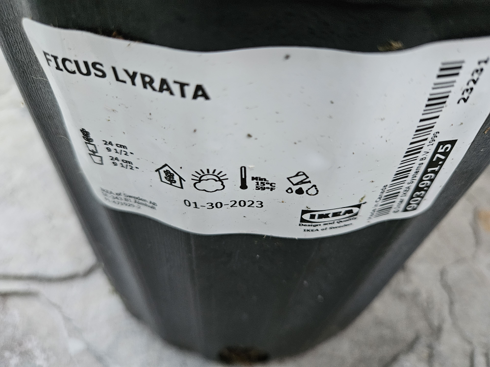 Live plant image indicator(2)