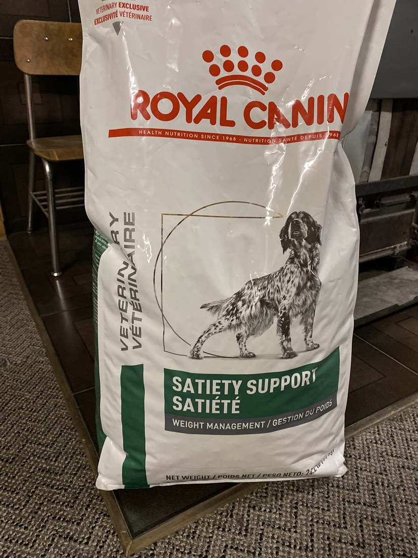 Dog food