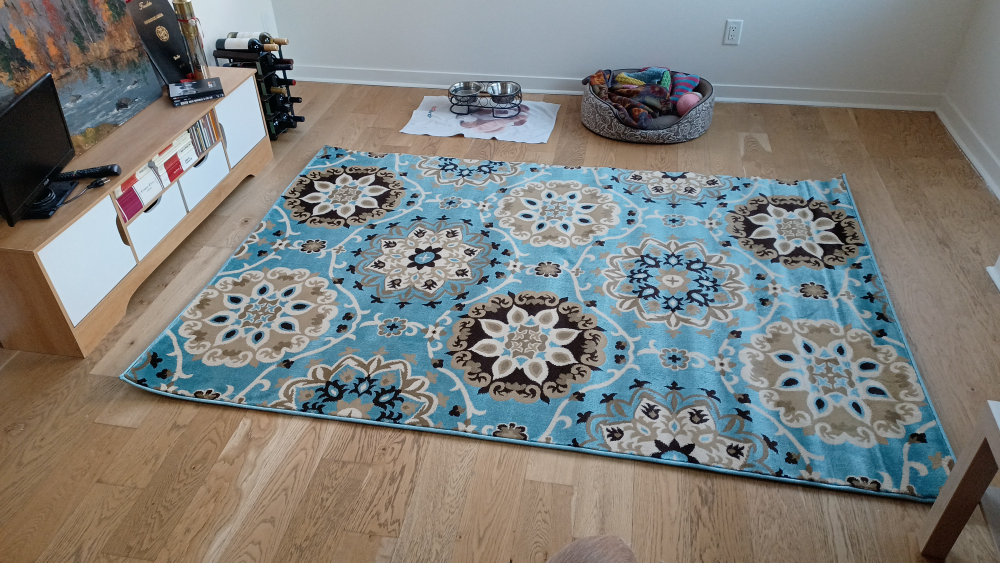 MOVING SALE - EVERYTHING HAS TO GO BY END OF SEPTEMBER
