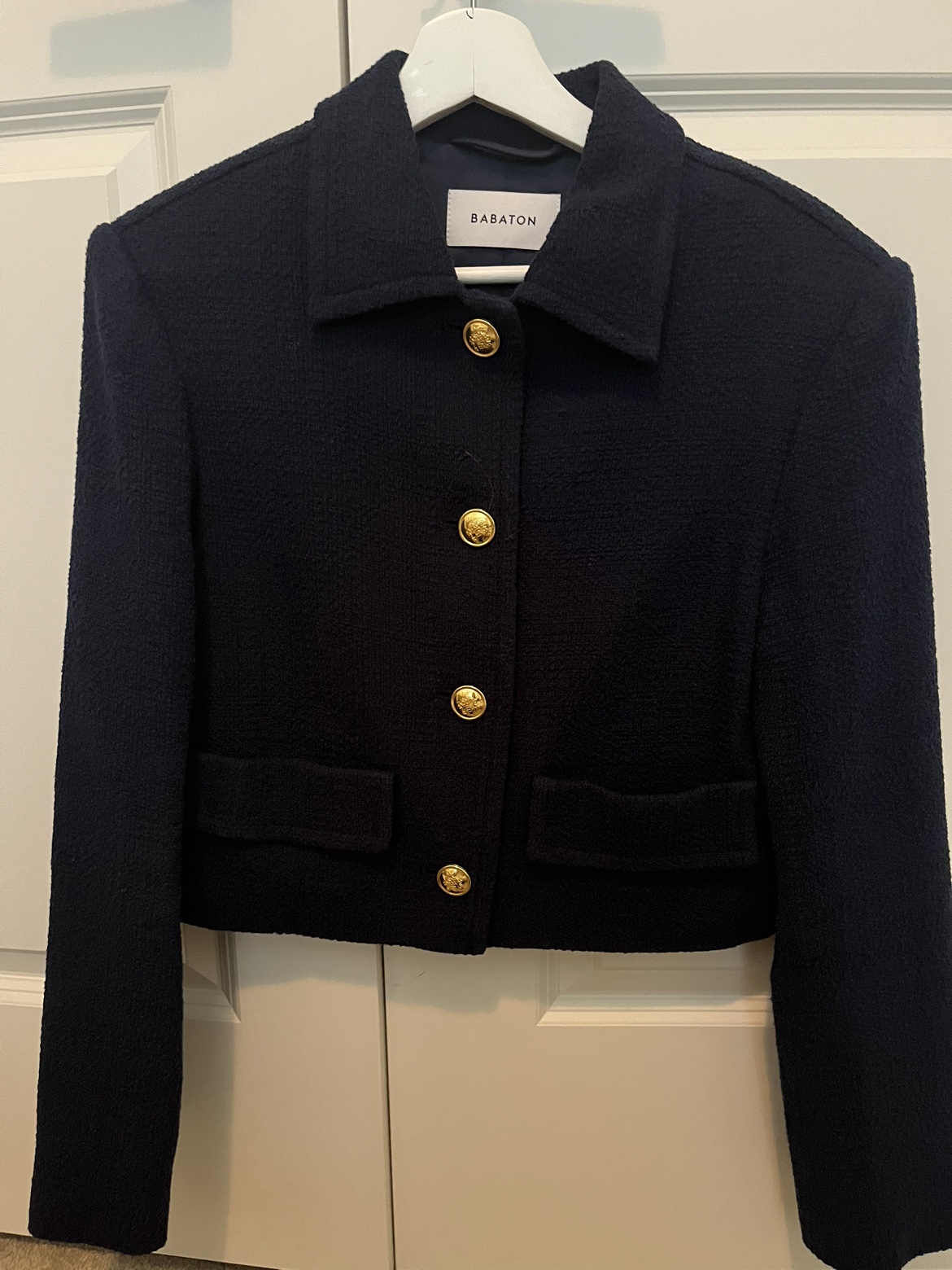 Aritzia Babaton navy tweed jacket and skirt