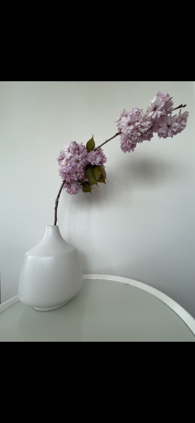 Minimalist white vase