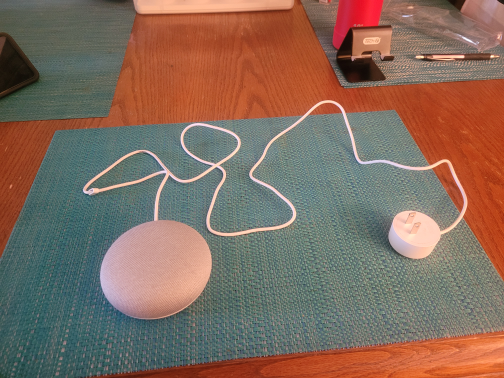 Google Echo - photo 4