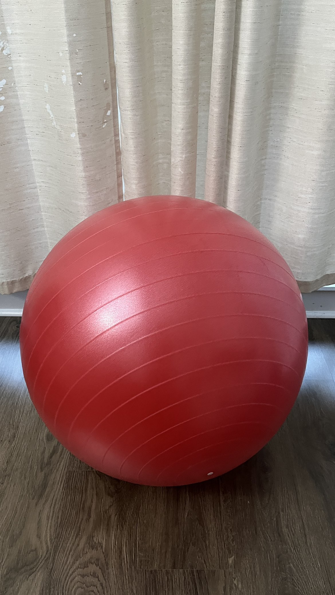 URBNFit Exercise Ball image indicator(6)
