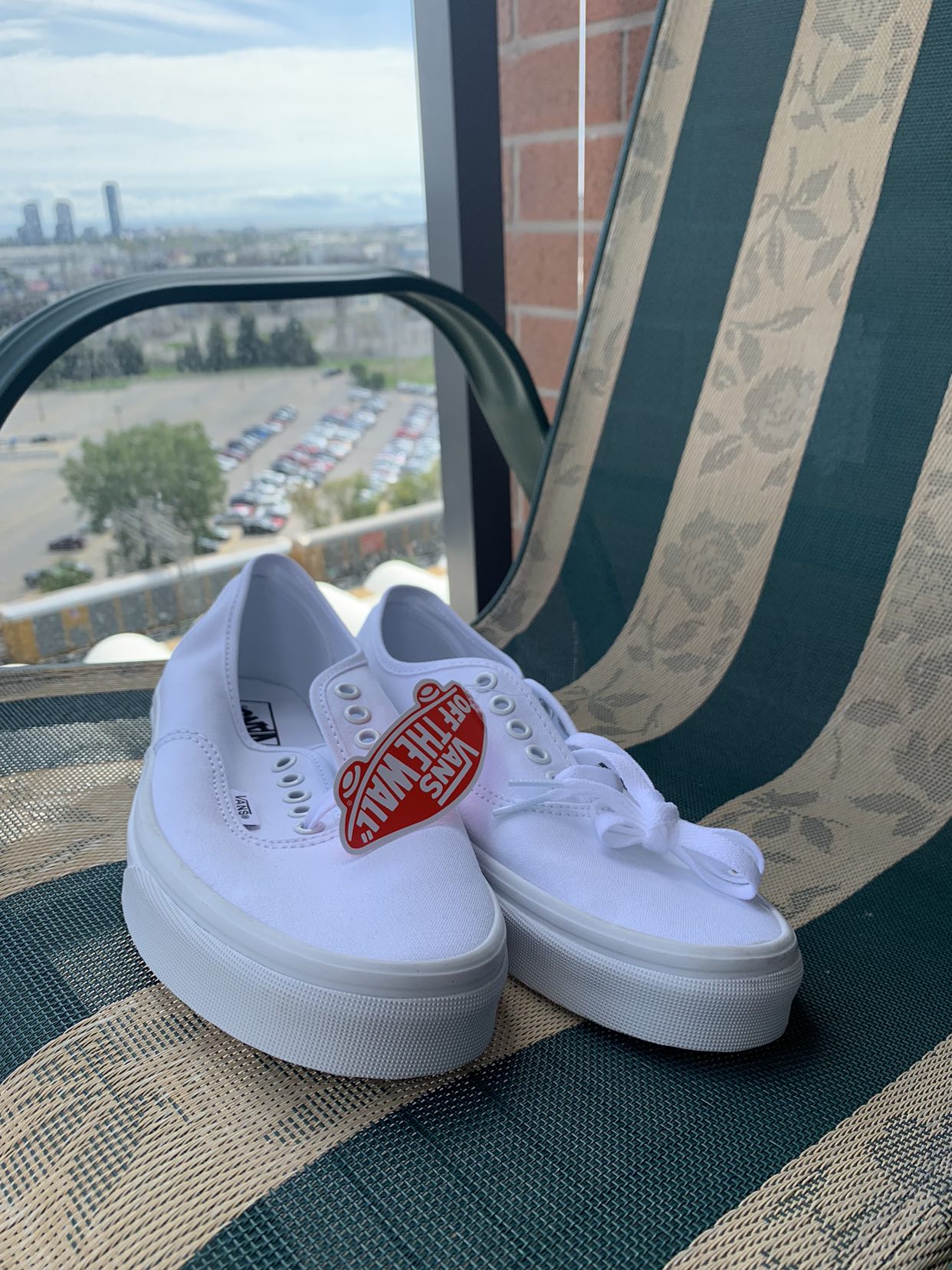 Vans Authentic Canvas Shoes