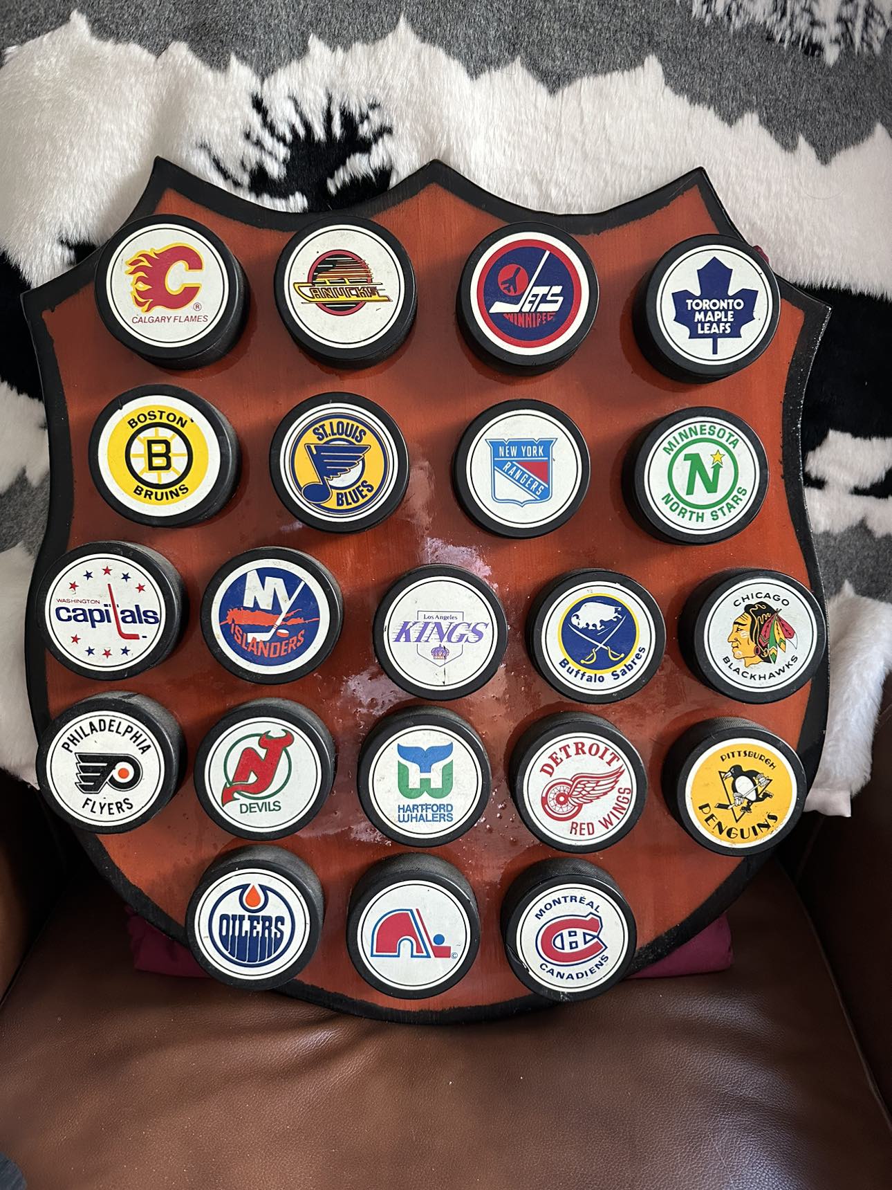 NHL PUCKS PLAQUE thumbnail