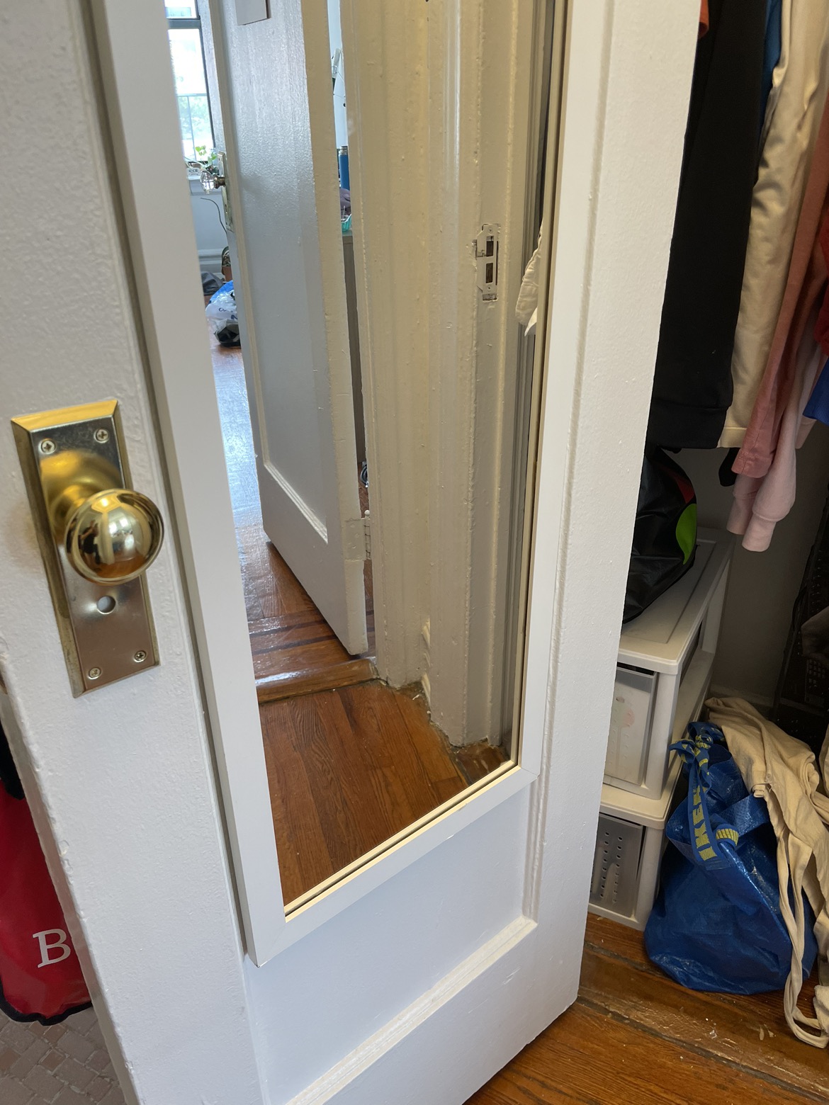 💰White Mirror image indicator(3)