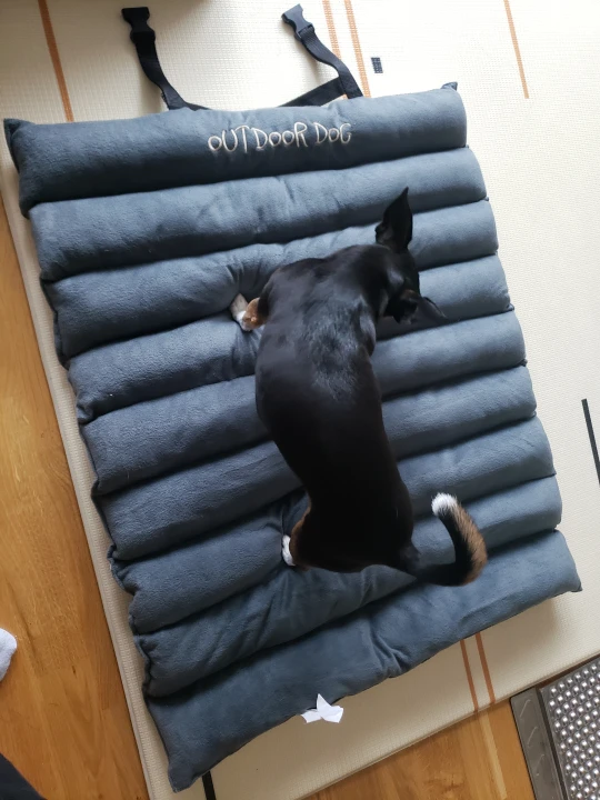outdoor dog bed - photo 3