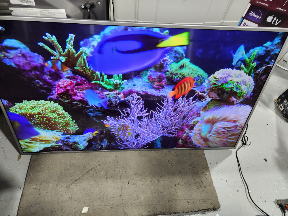 VIZIO 55" 4K SMART TV FOR $289.99 READ THE AD image indicator(3)