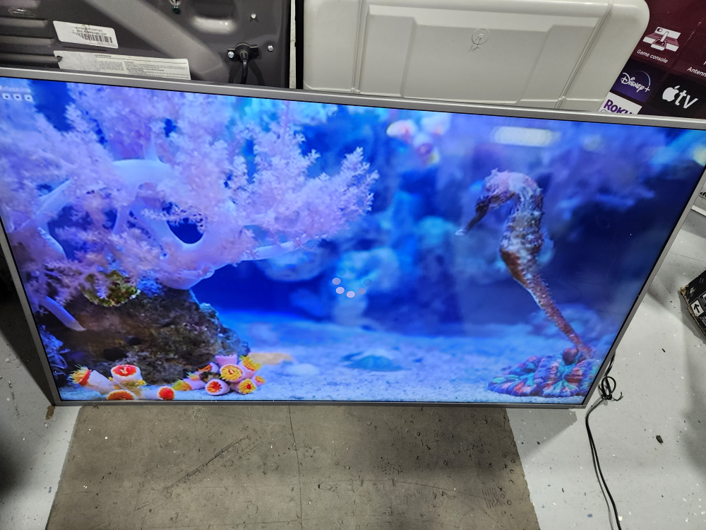 VIZIO 55" 4K SMART TV FOR $289.99 READ THE AD image indicator(6)