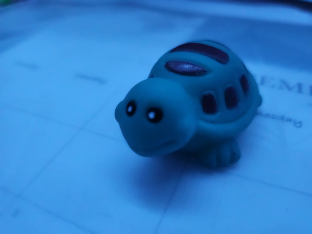 Squirt Turtle thumbnail