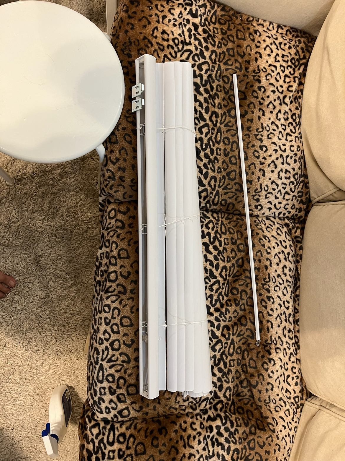 Free Plastic Blinds thumbnail