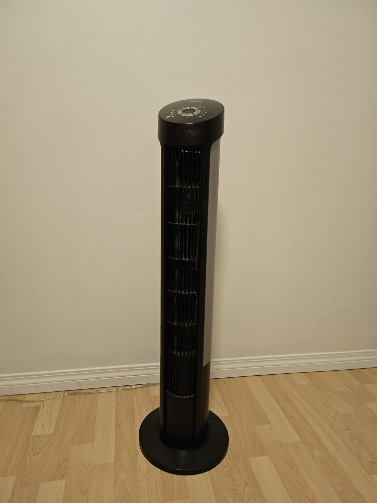 fan