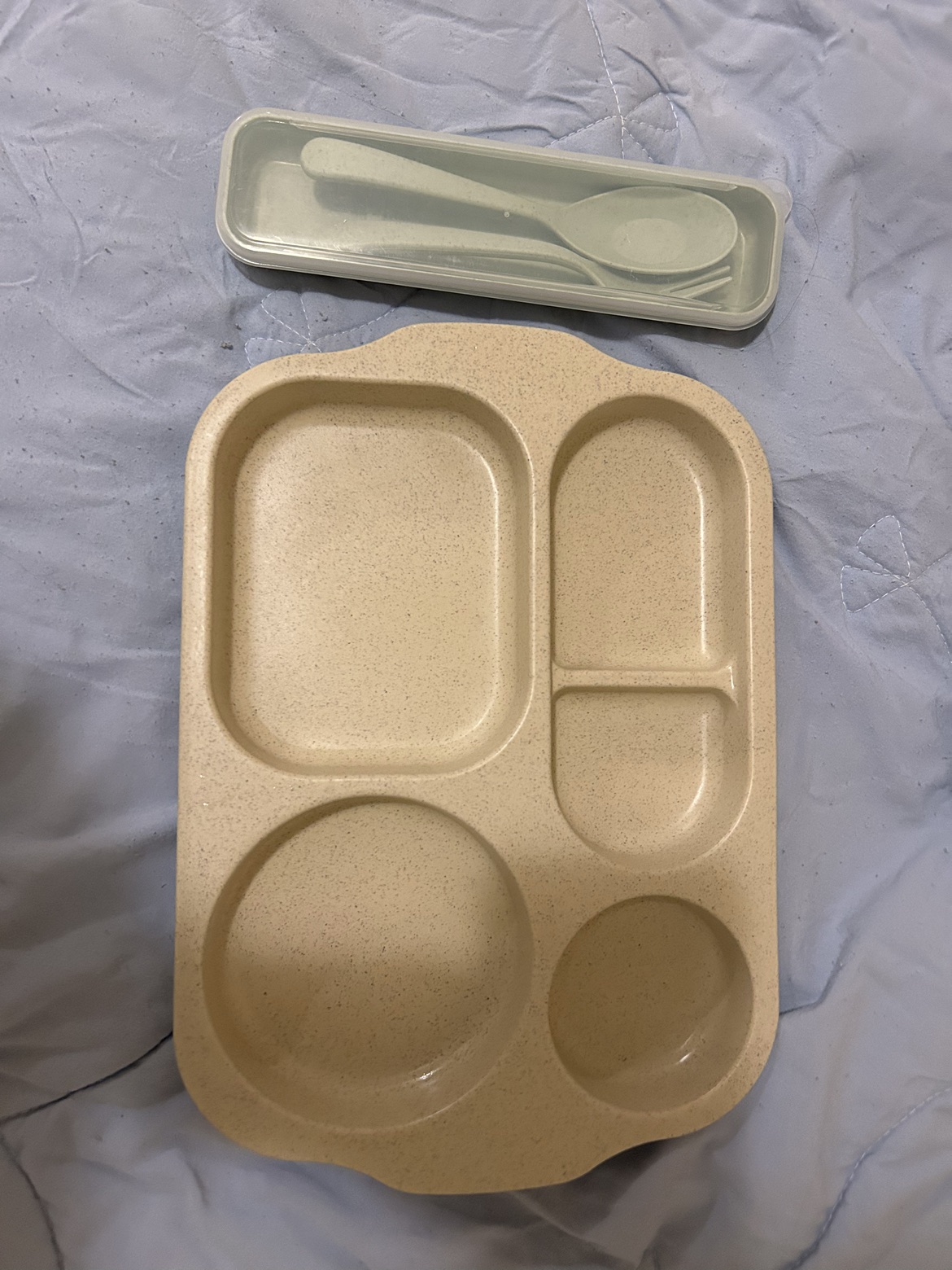 Fork, spoon and food tray