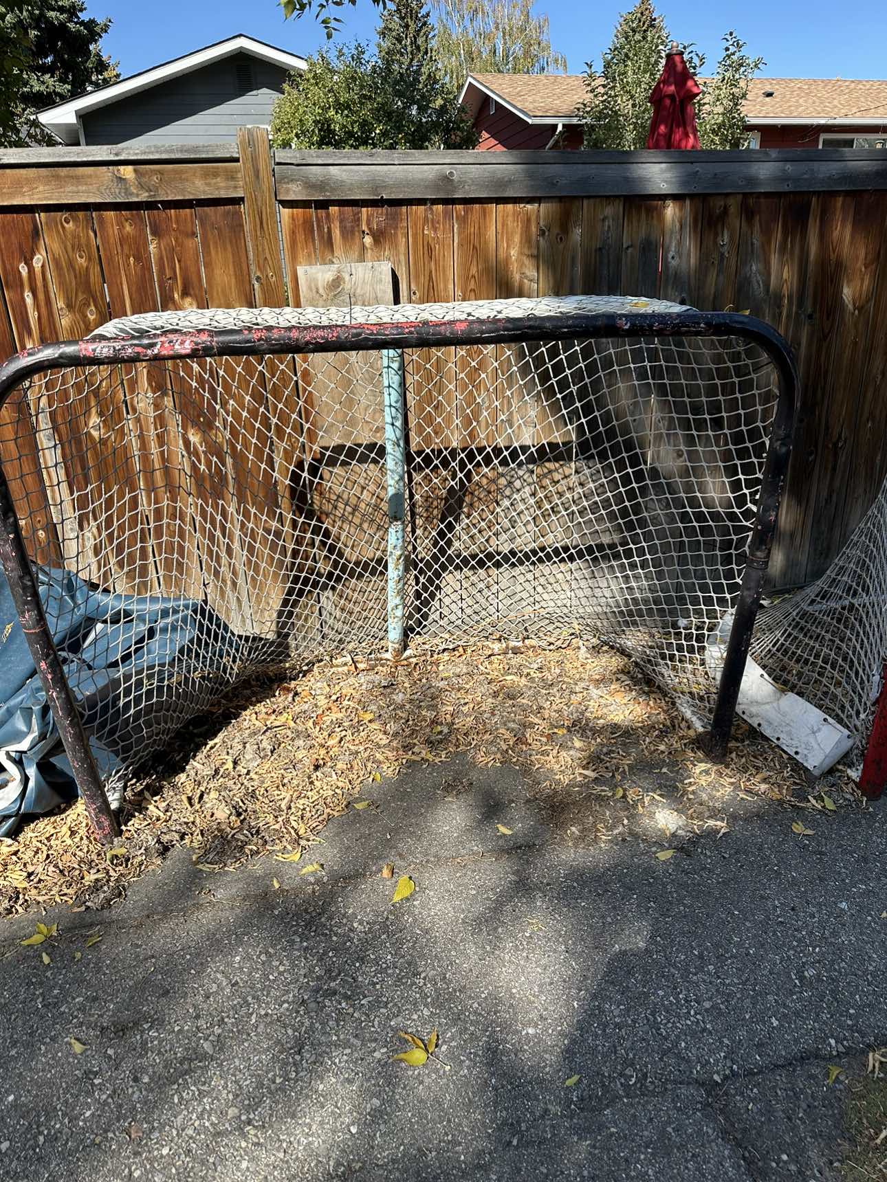 Hockey Nets - photo 2