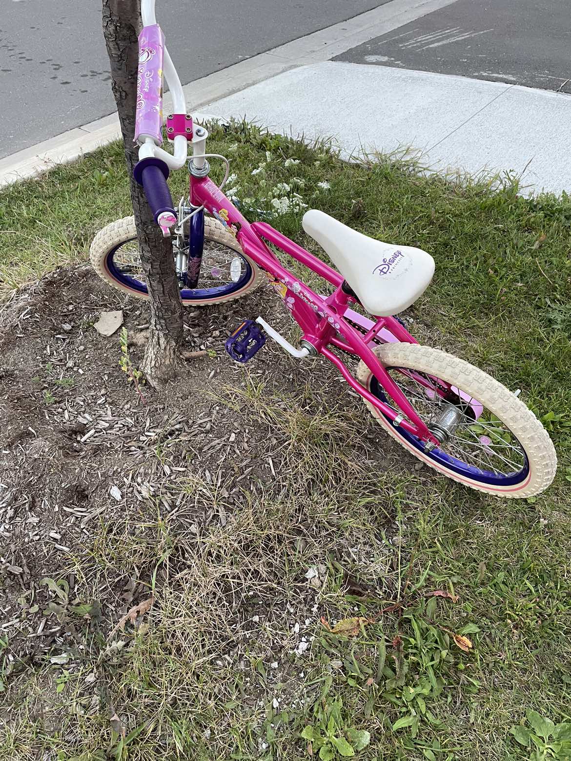 Kids bicycle moving out sale