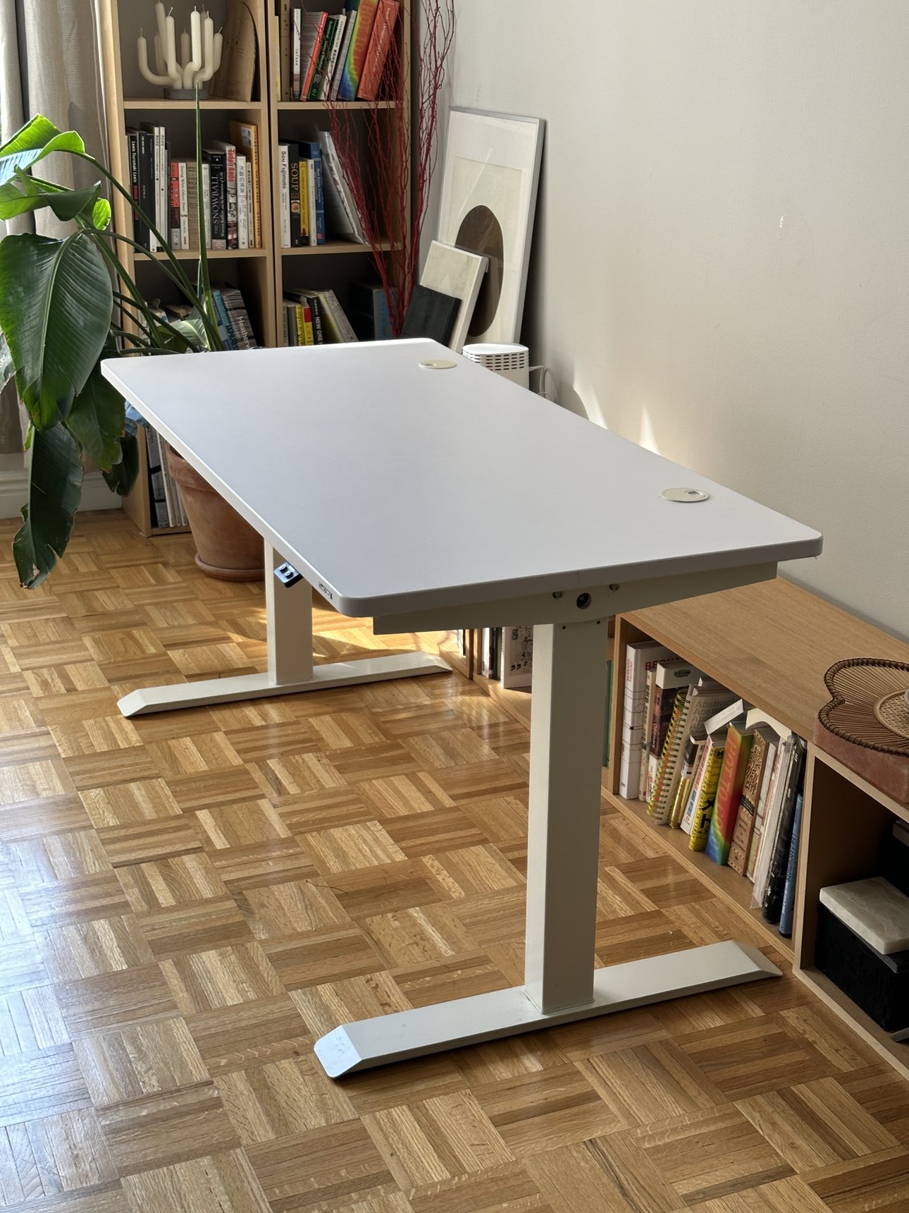 Standing Desk Electronic