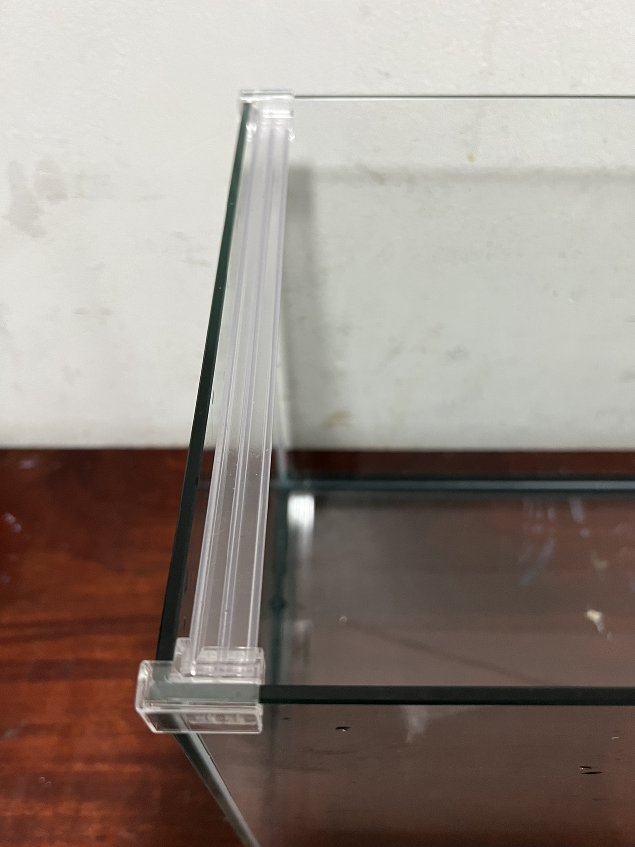 10 gallon rimless tank - photo 4