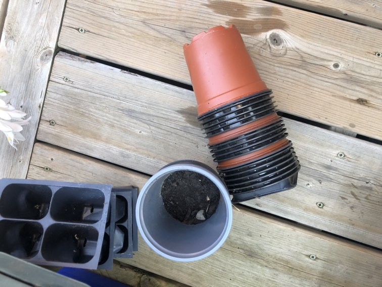 #Freecycle Free plastic pots for seeds thumbnail