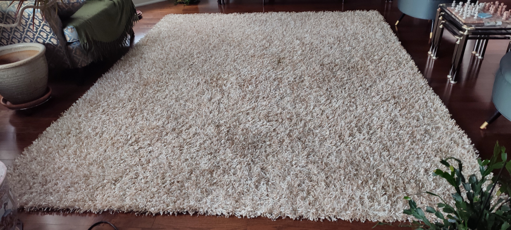 shag carpet