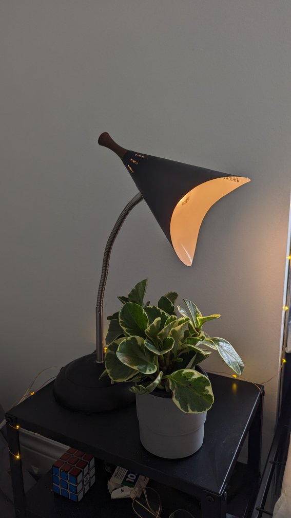 Beautiful desk lamp!