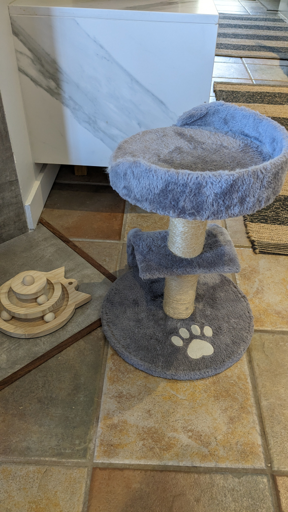 Cat tree and wooden toy