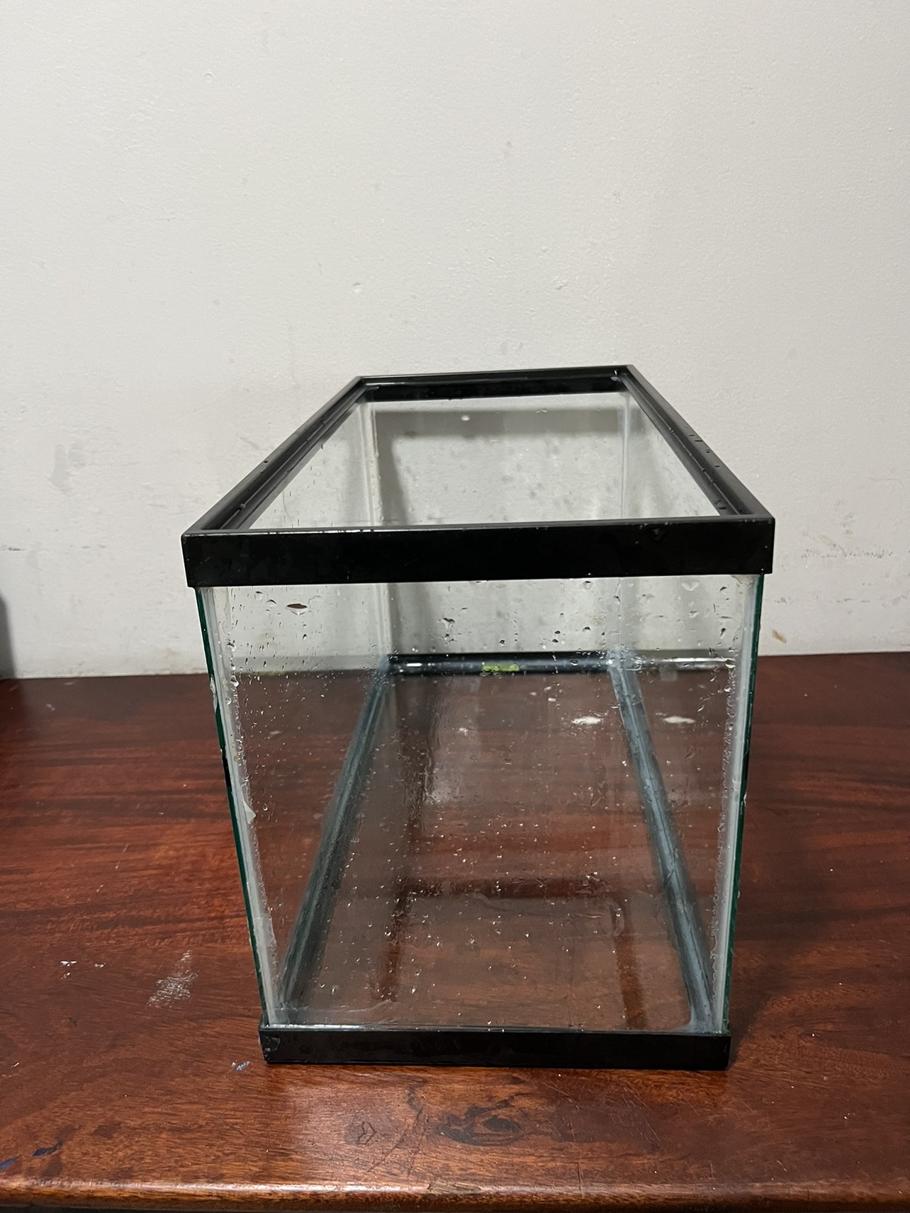 10 gallon tank - photo 2