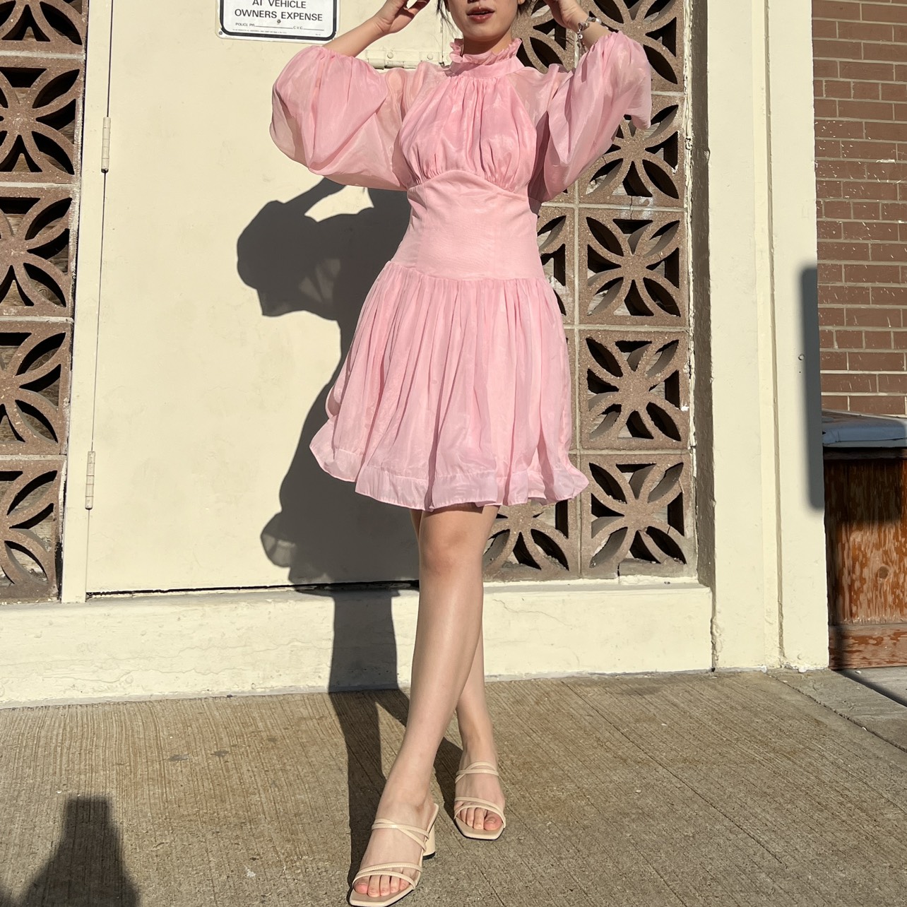 Pastel Pink High Neck Silk Organza Dress image indicator(2)