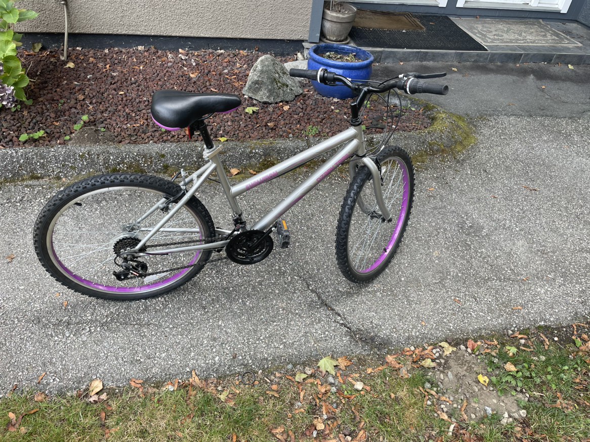 Girls Mountain bike - Ozark Trail Evolution