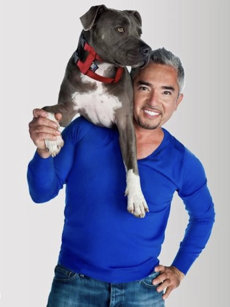 Cesar Millan dog collar thumbnail