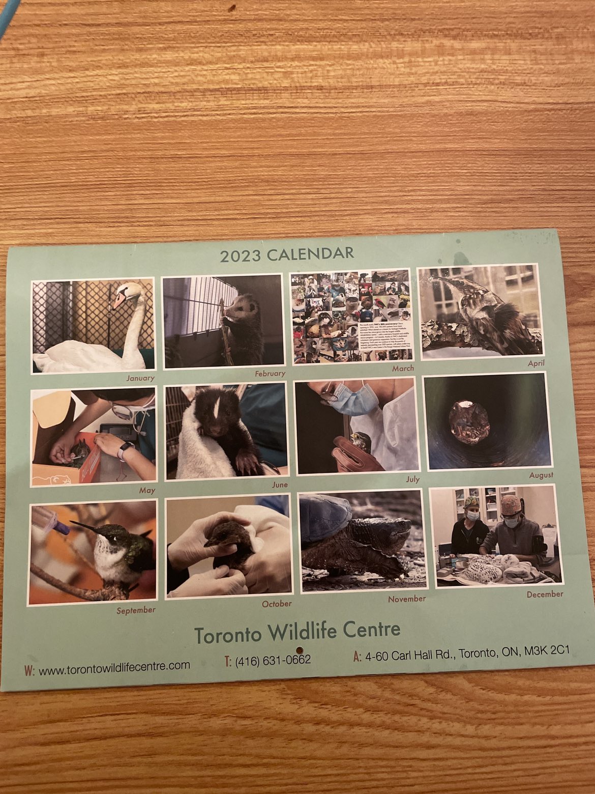 FREE TWC Calendar! image indicator(6)