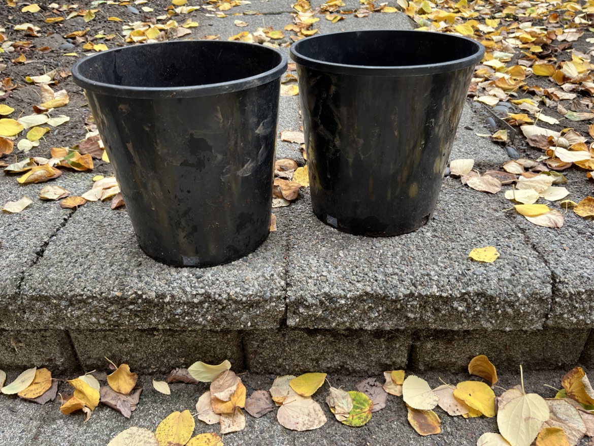 Planter containers thumbnail