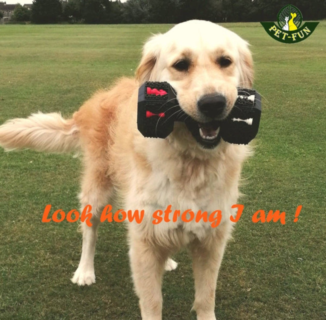 DOG TOYS FOR LARGE DOGS AGGRESSIVE CHEWERS image indicator(5)