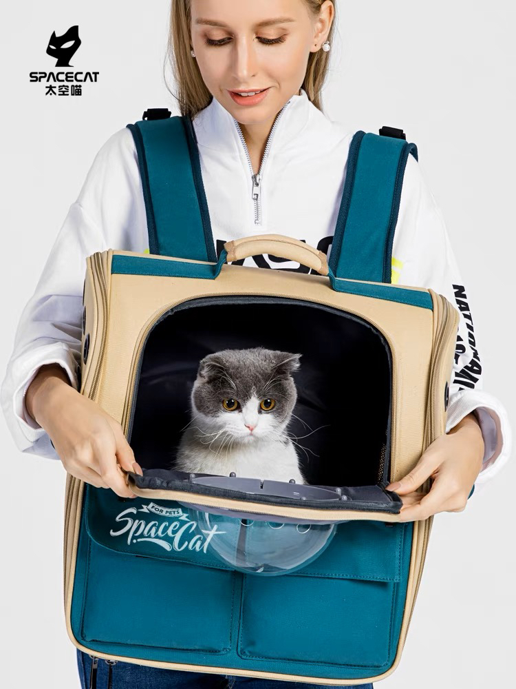 Cat bag
